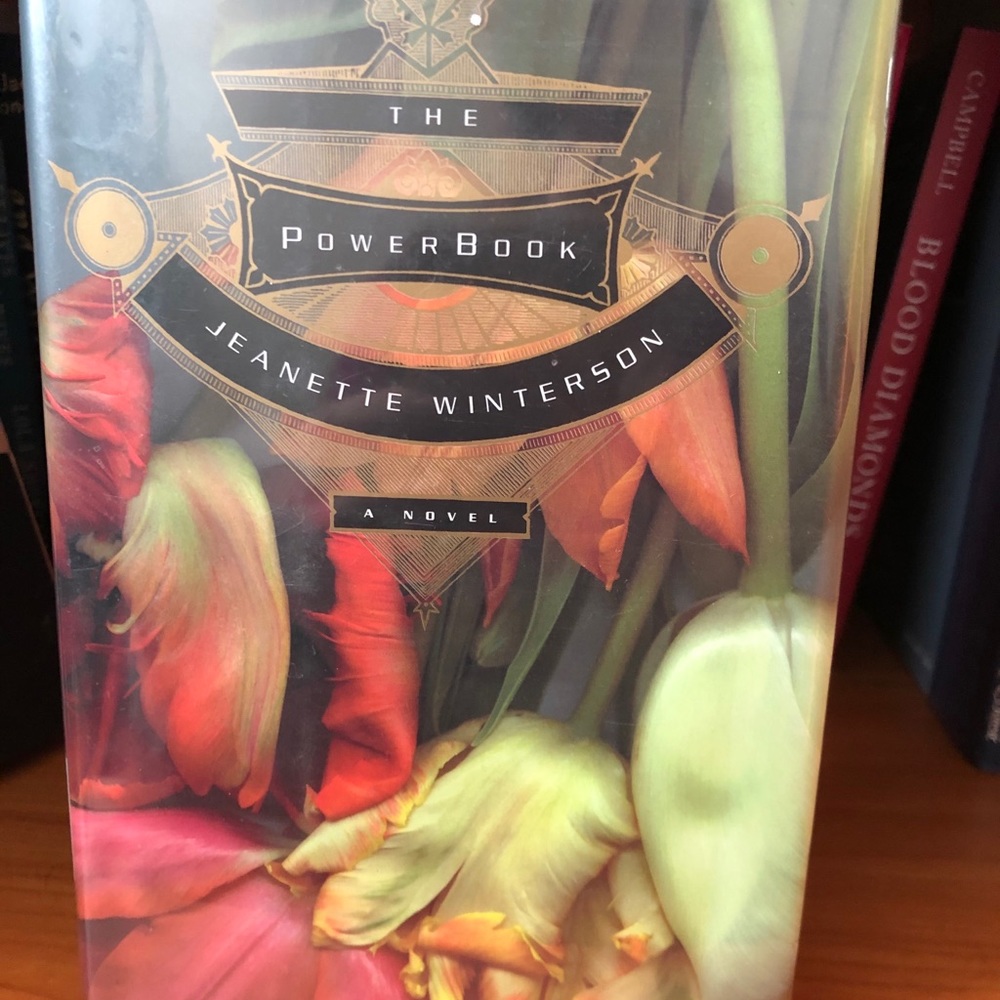 Book - “The PowerBook” by Jeanette Winterson